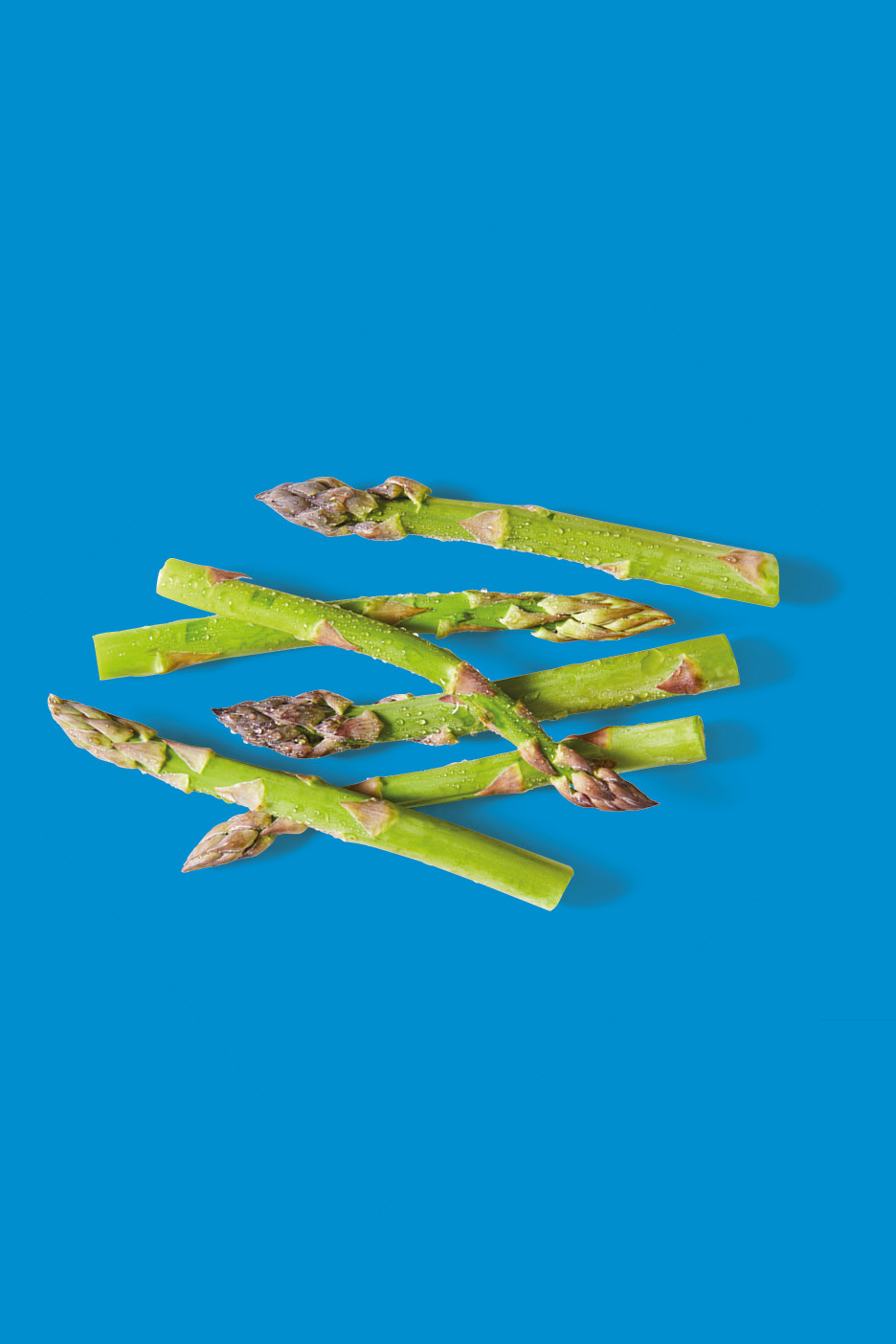 Fresh green asparagus spears with water droplets, arranged on a vibrant blue background.