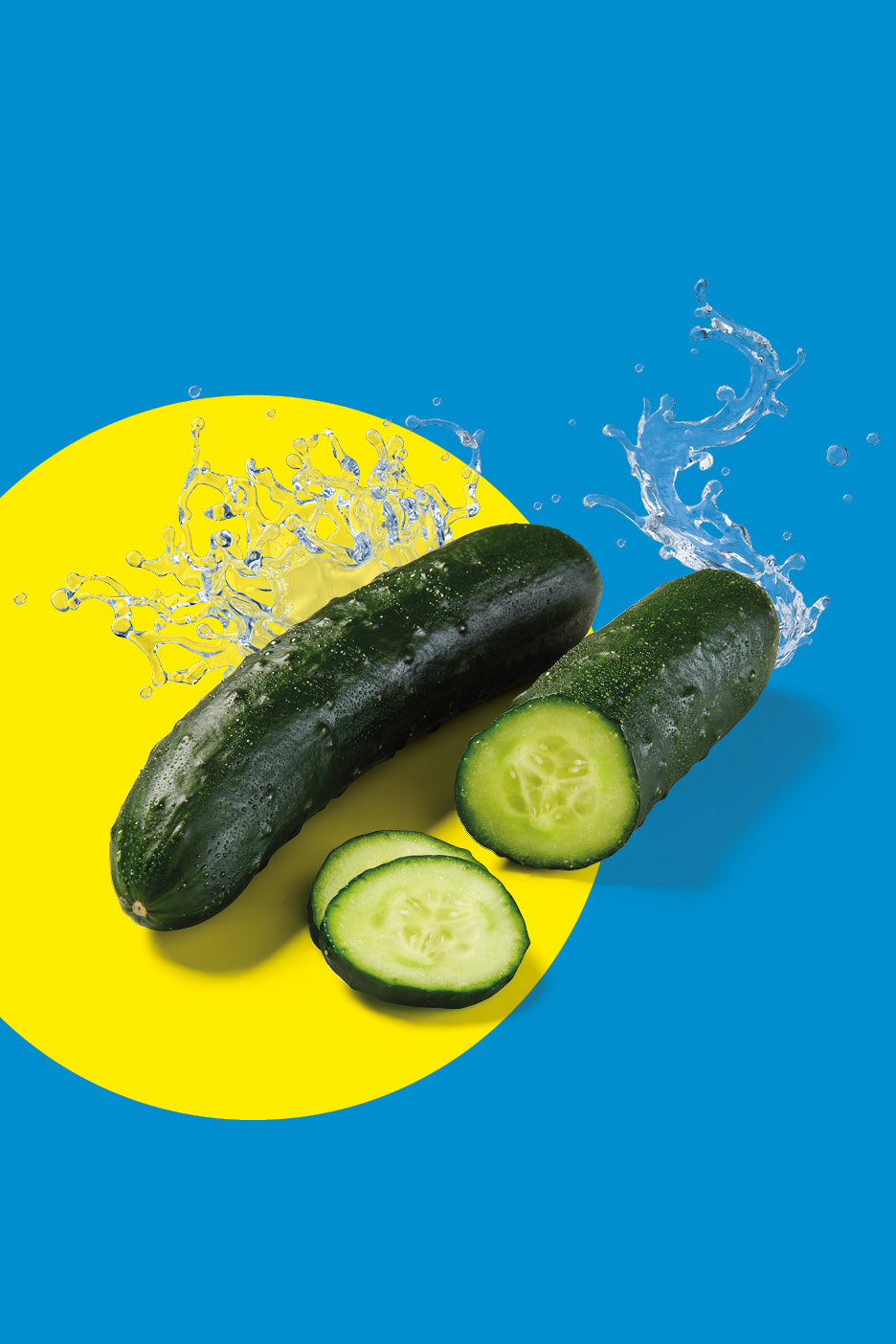 Fresh cucumbers, whole and sliced, with water splashes on a blue and yellow background.